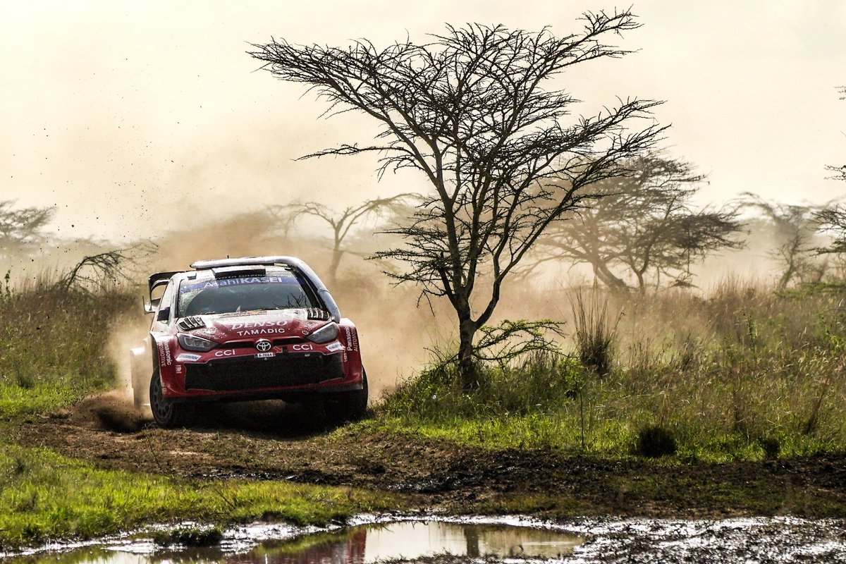 FIA World Rally Championship tweet media