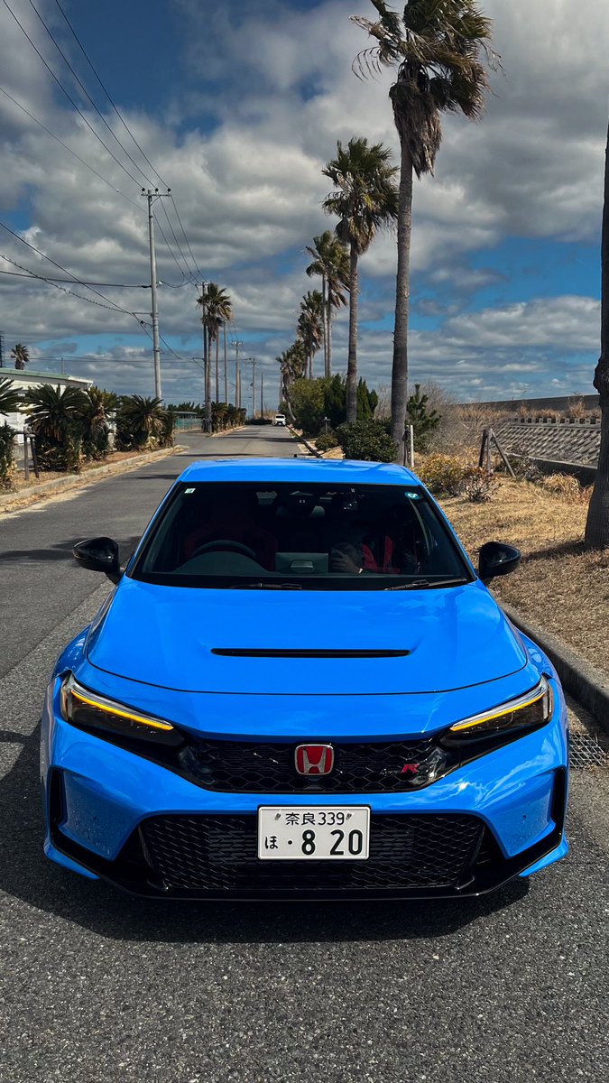 shottobii's tweet photo. 淡路島ヤシの木並木 https://t.co/TVTerywon4