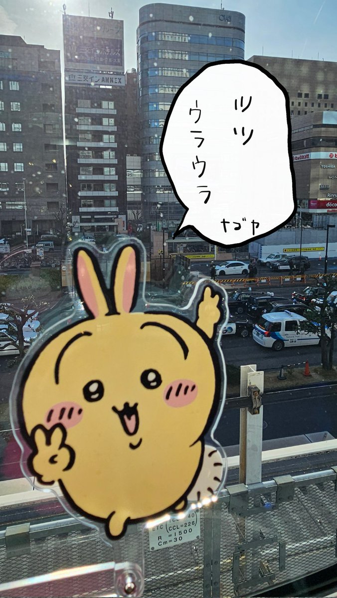 うぃりー🐿💛 tweet media