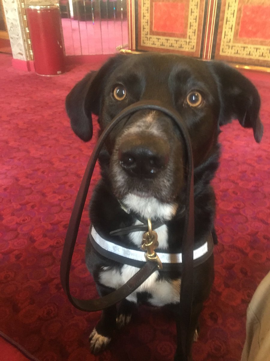 Explodogmax tweet media