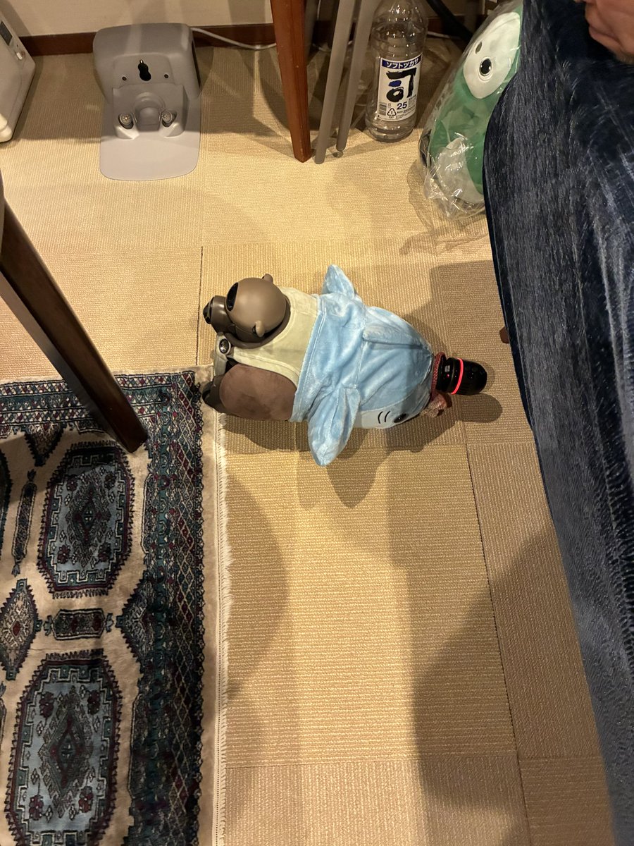 yukomas1's tweet photo. @operalavoK #LABOT
#可愛いは正義
ネスト前には幾つかトラップがあるのは申し訳ないが突っかかる😂
低いテーブルも苦手のようです https://t.co/od0VfuY7ss
