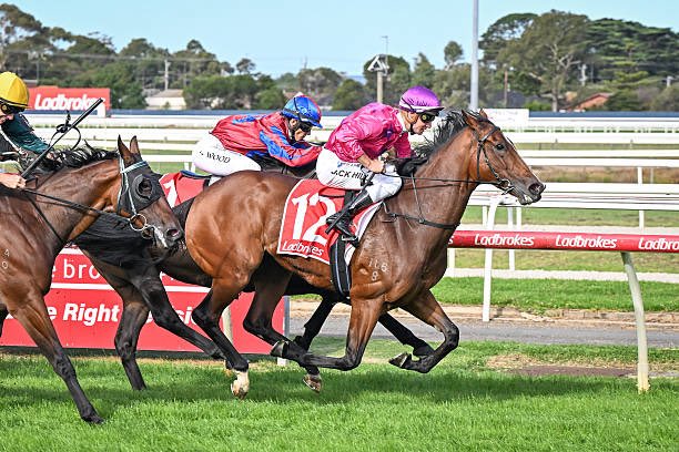 Reece Goodwin tweet media