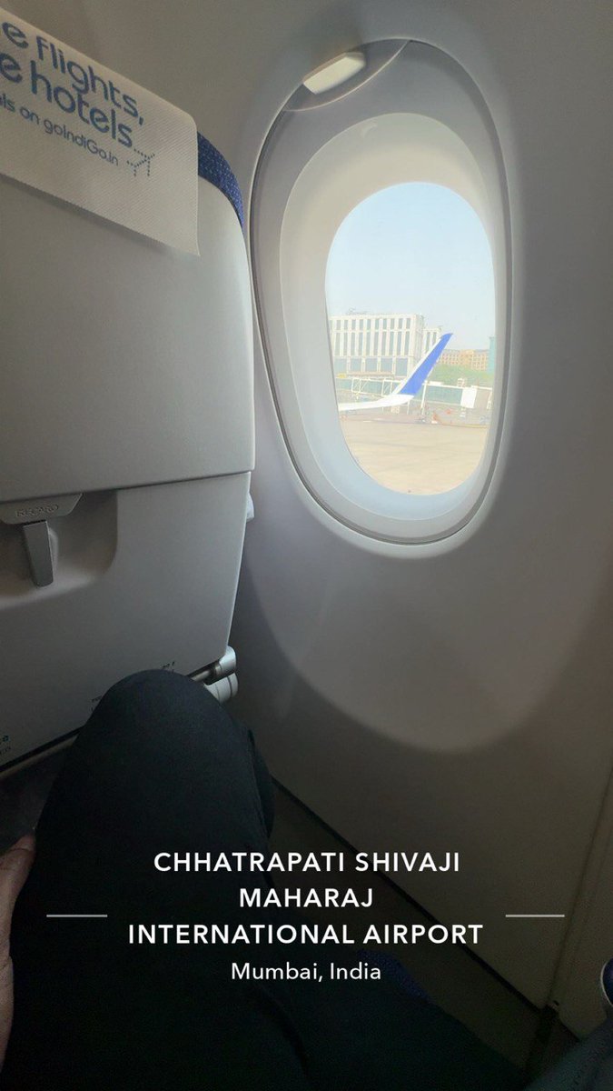 Mistress Coco tweet media