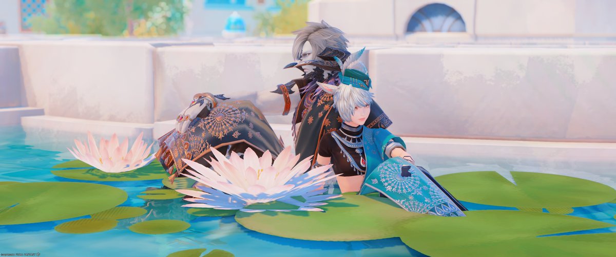 しう🥷 tweet media