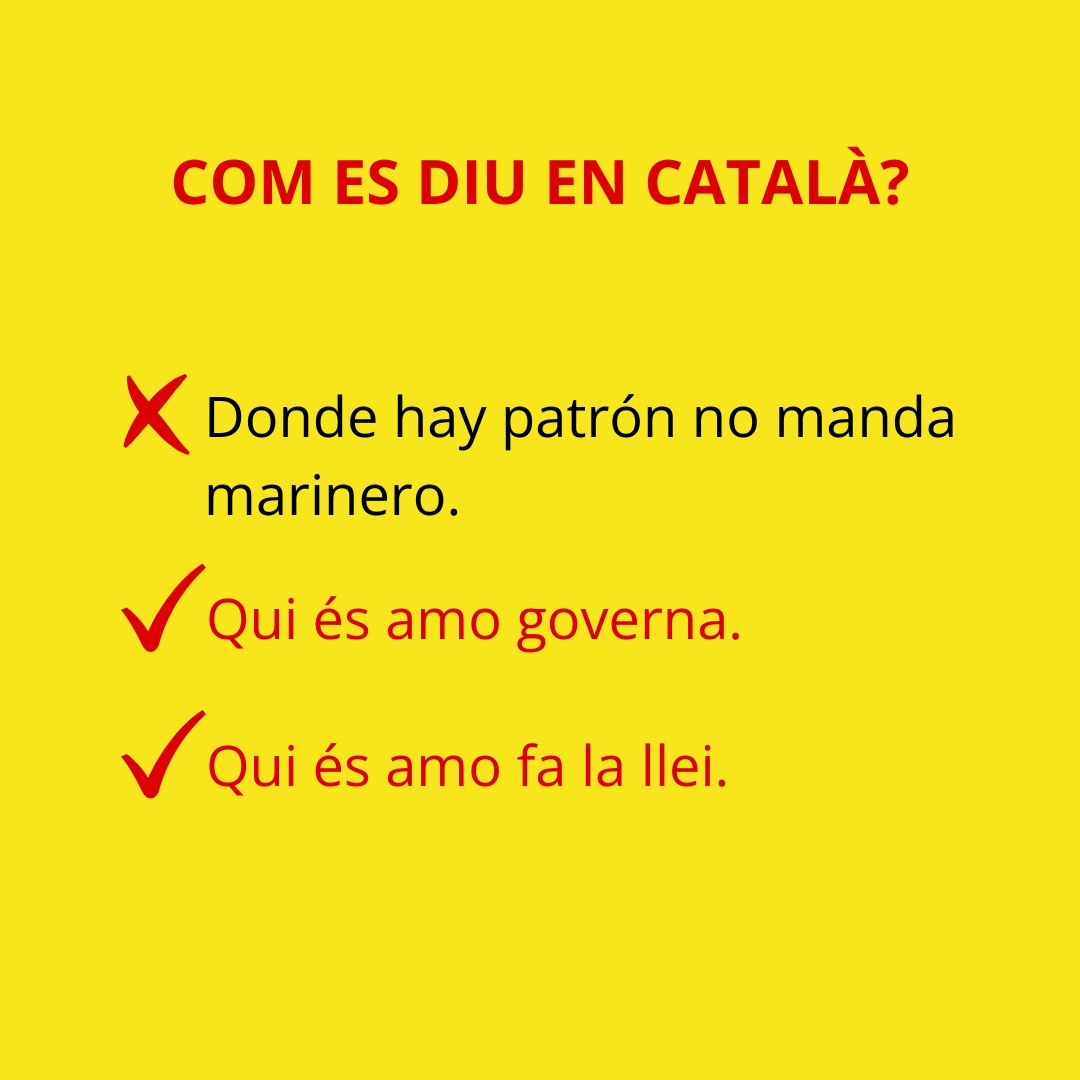 parlaelcat (@parlaelcat) on Twitter photo 