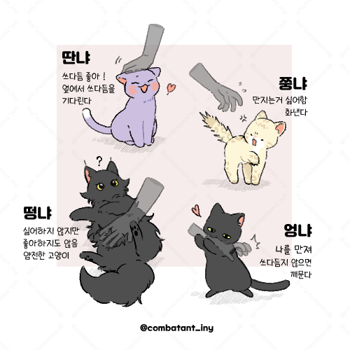 전투원 tweet media