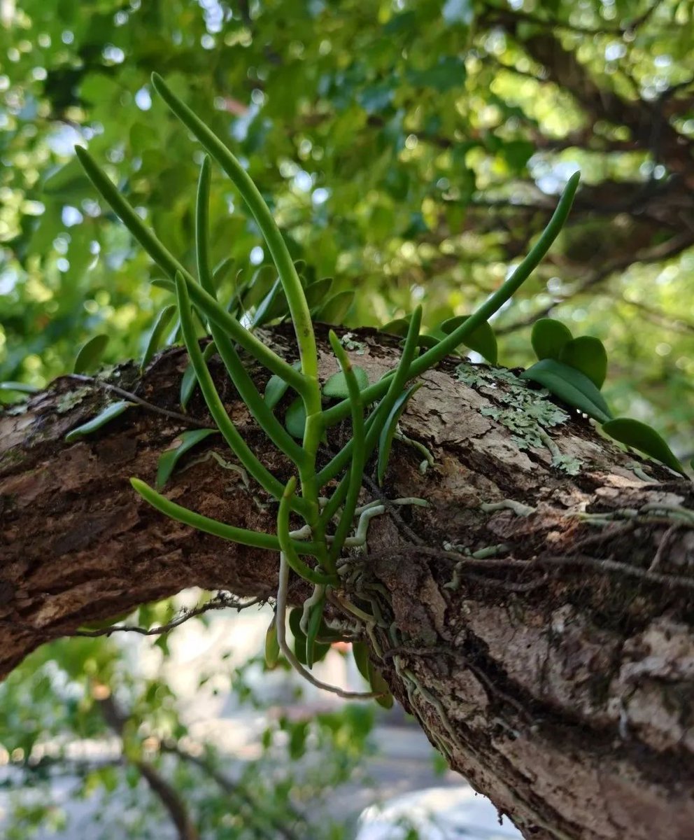 Kristy Marshall tweet media