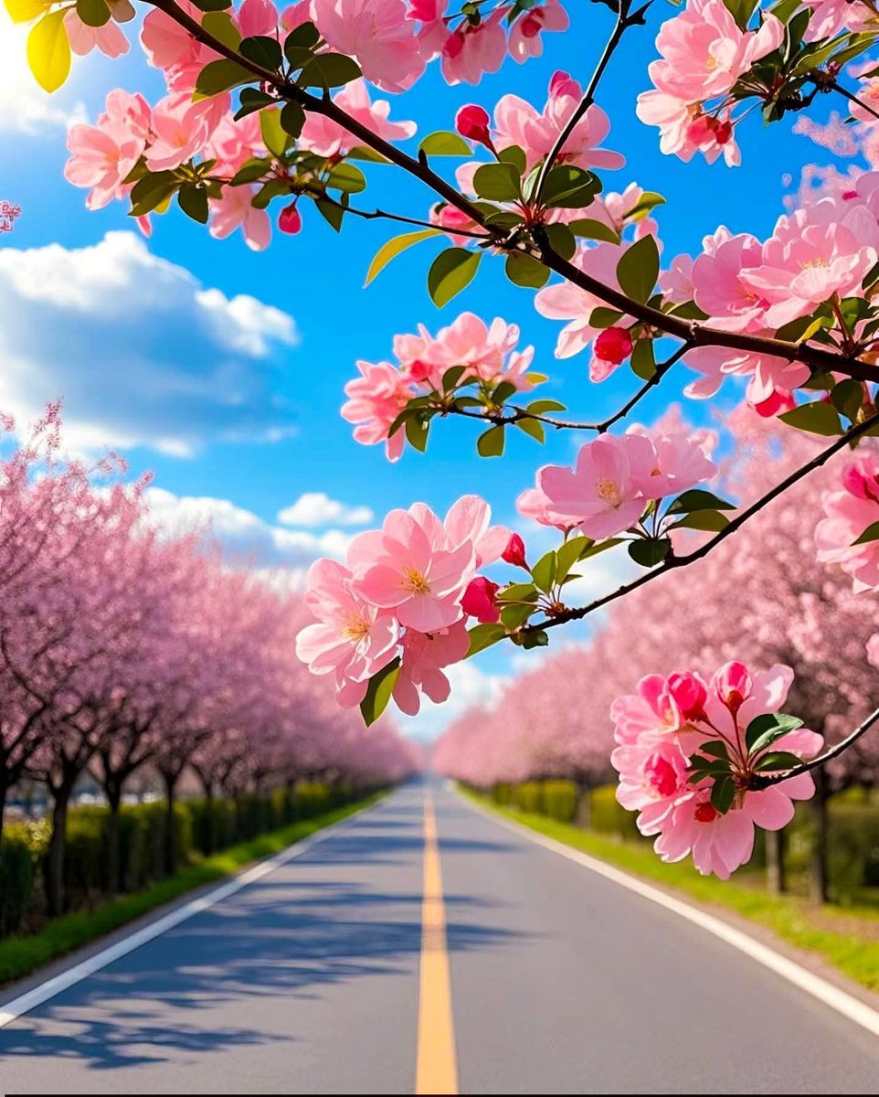 dany_grazia's tweet photo. ೃ⁀➷✿🤍❄️
_____ Good morning friends

  ❄️🥀🍀🌷⛄🪾🌸❄️☕ https://t.co/WWpcTf8og0