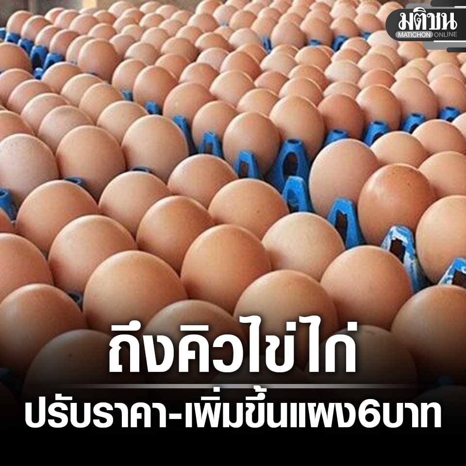 ฮ.นกฮูก(สีส้ม) tweet media