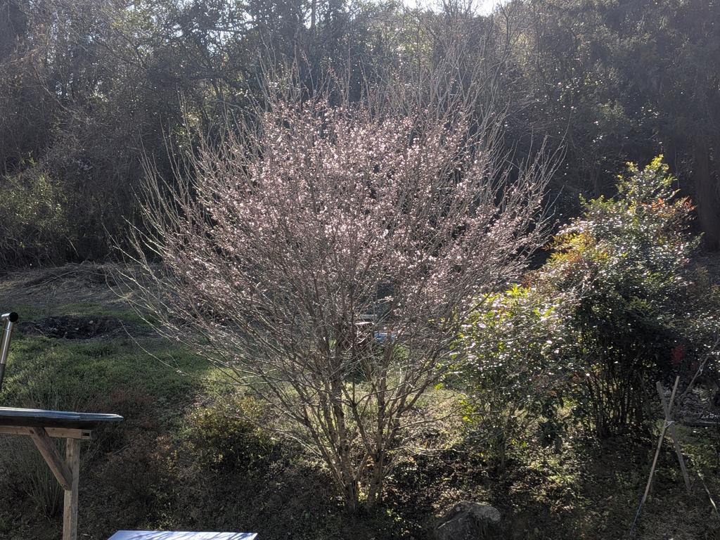 CAMP御戦@10周年 tweet media