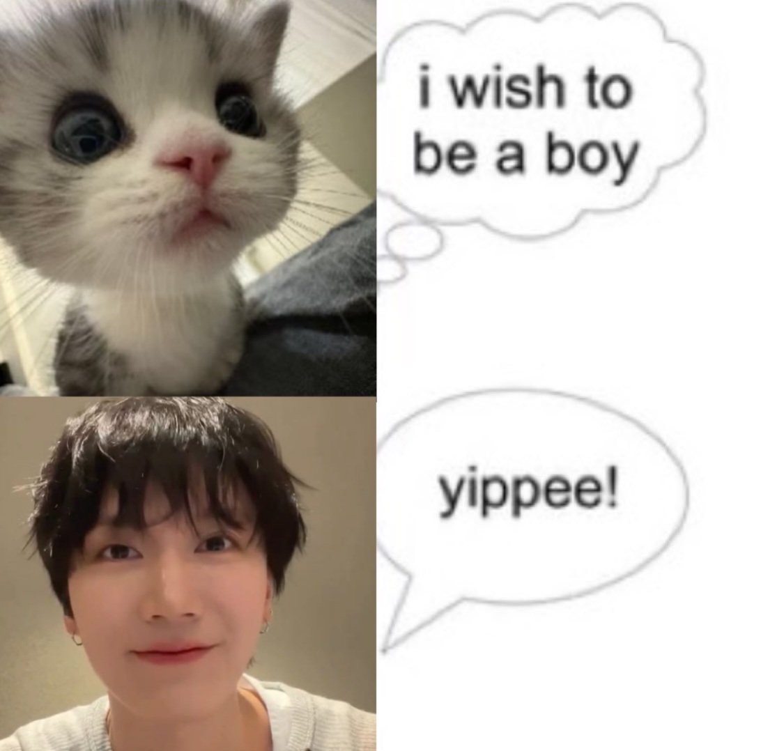 anita ִ ࣪𖤐 tweet media