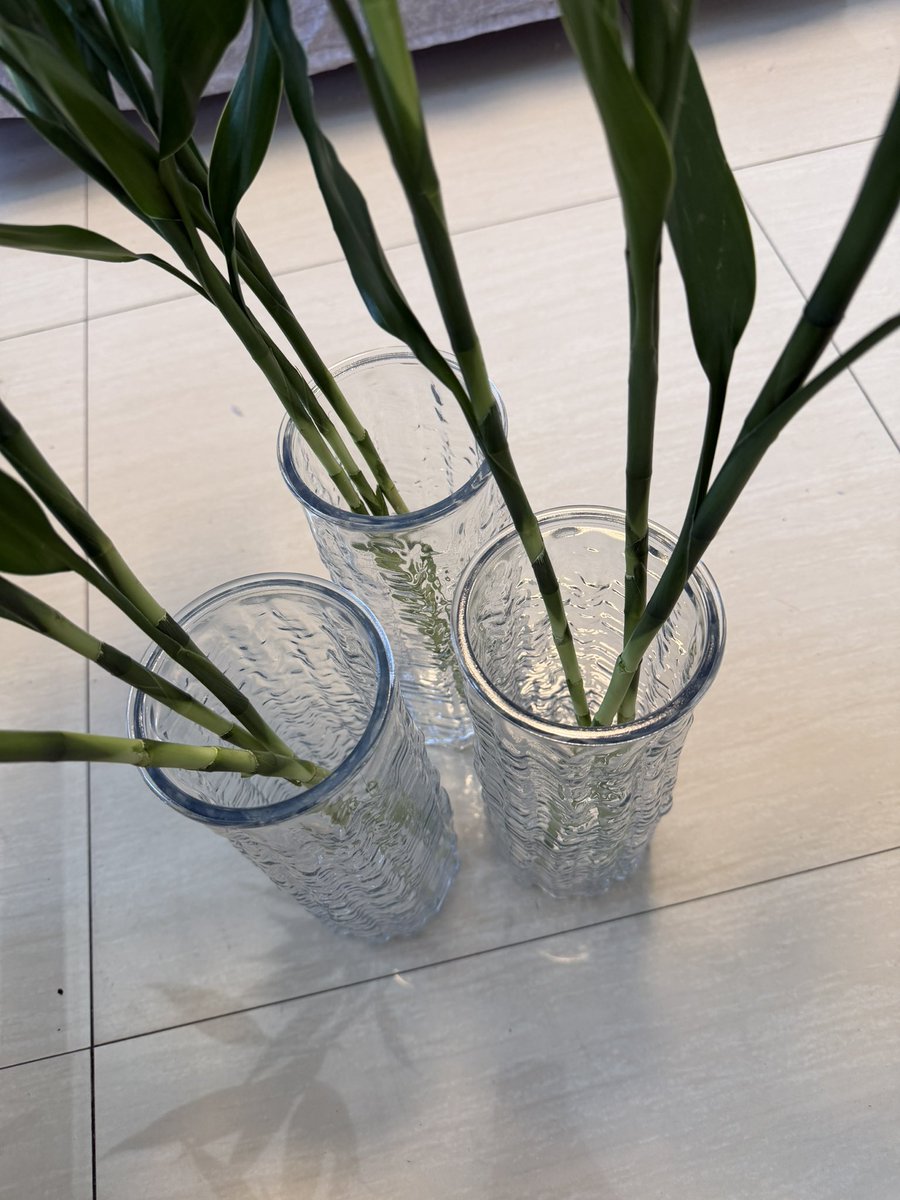 吃葡萄吐泡泡 tweet media