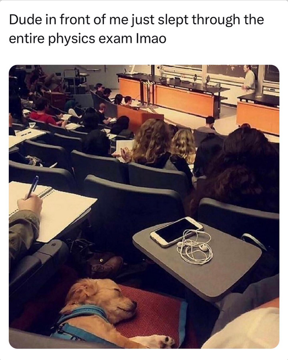 WholesomeMemes (@wholesomememe) on Twitter photo 