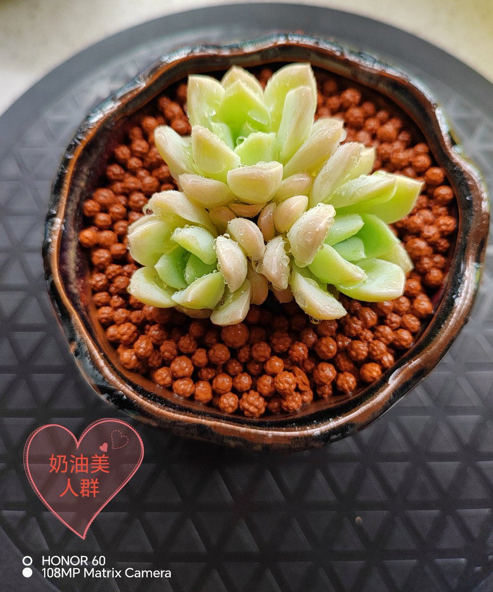 Teresa Marshall tweet media