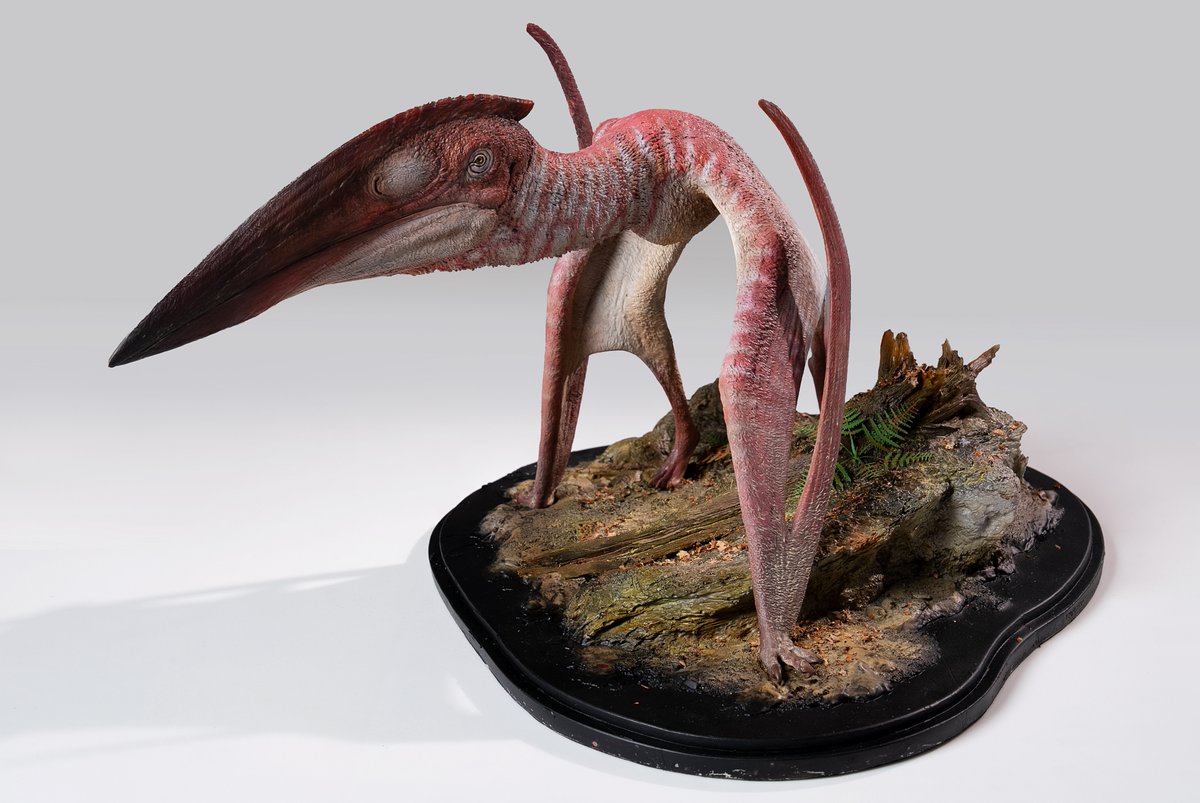 declaystudio's tweet photo. Vladislava the Hatzegopteryx with the original color scheme from Zubin Erik Dutta
Modeling and painted by Hoang Manh Duy https://t.co/5uN5WoXUiv