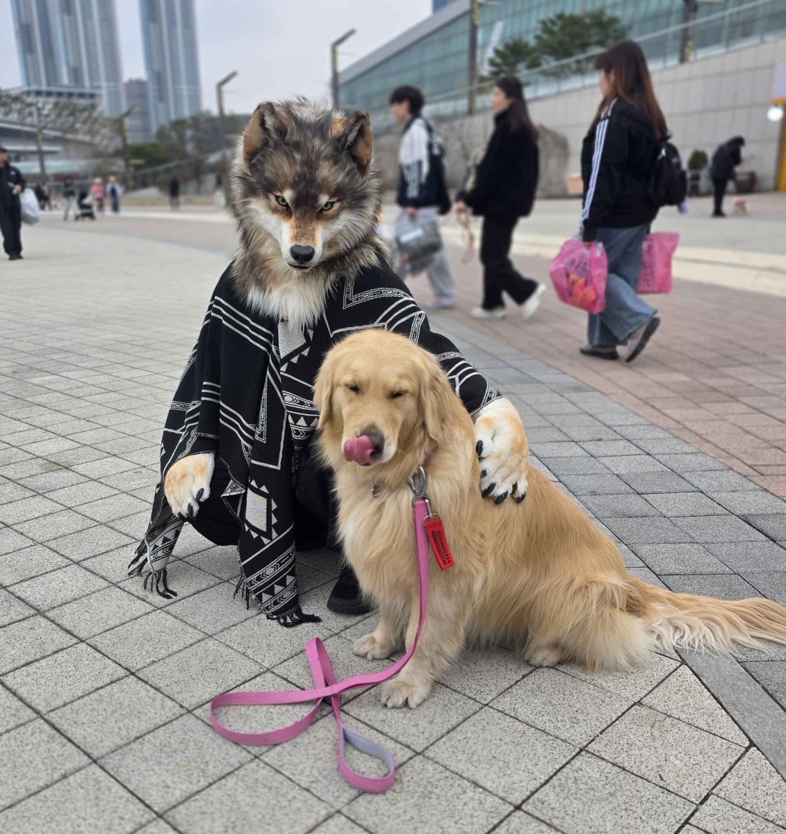 이클립스 / Eclipse tweet media