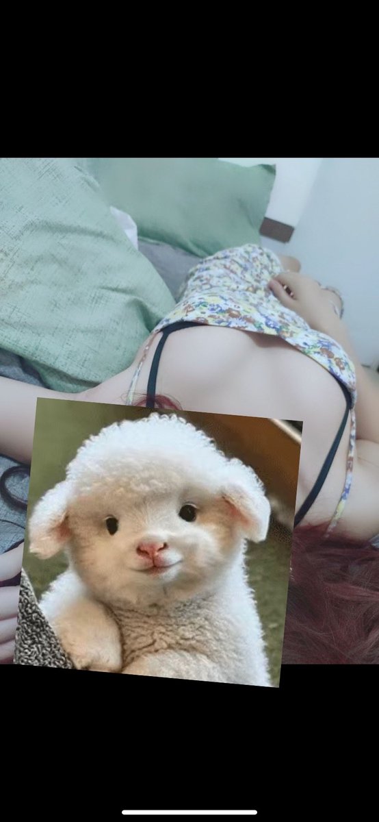 风淡云轻 tweet media