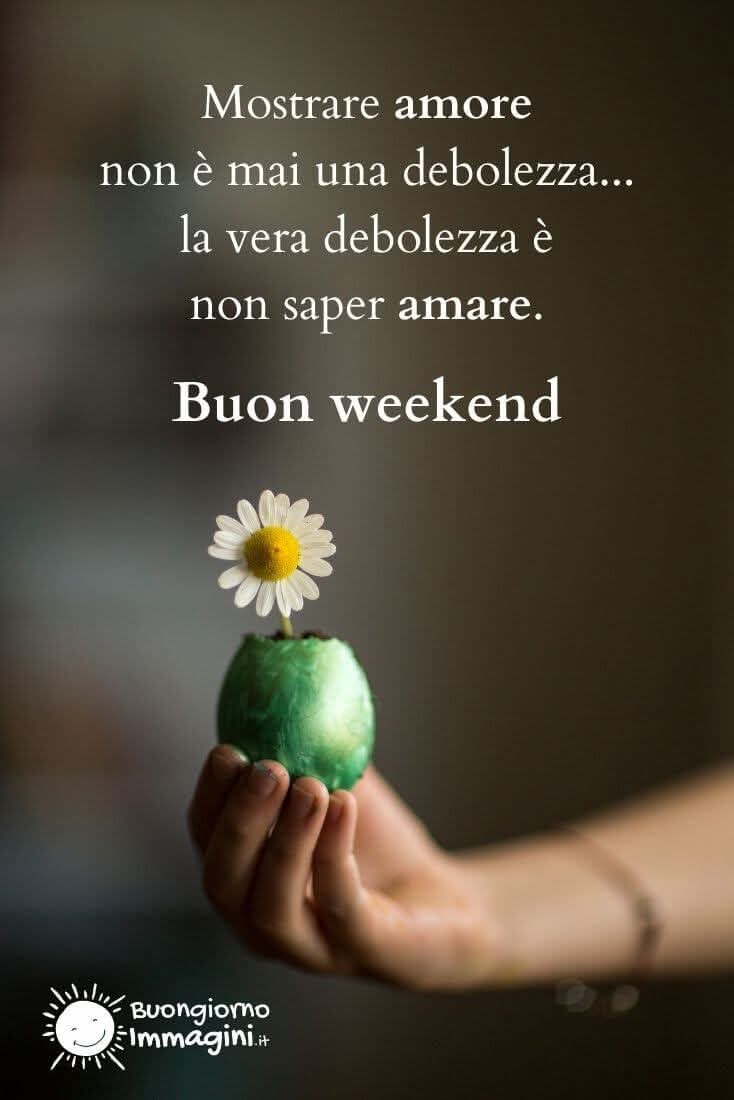 🌹Elisabeth🌹🇳🇱🚜❣️🇮🇹🚜 tweet media