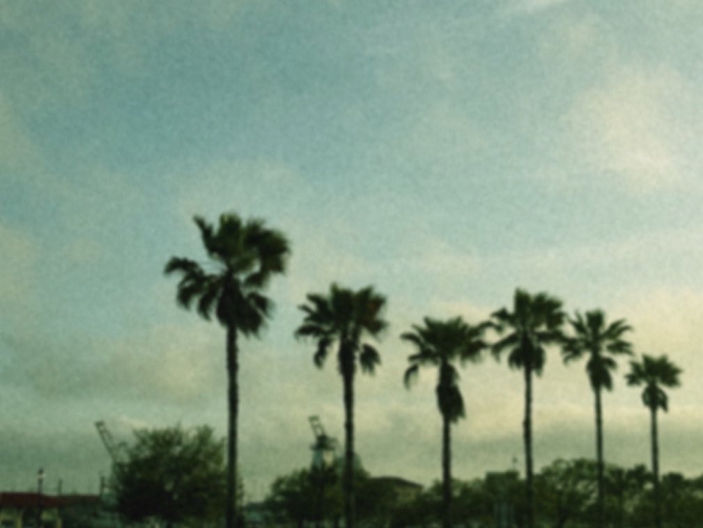 Inzanity tweet media