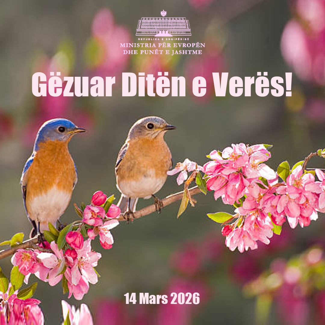 Ferit Hoxha🇦🇱 tweet media