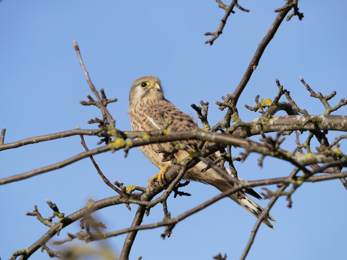 Welcome to Yorkshire tweet media