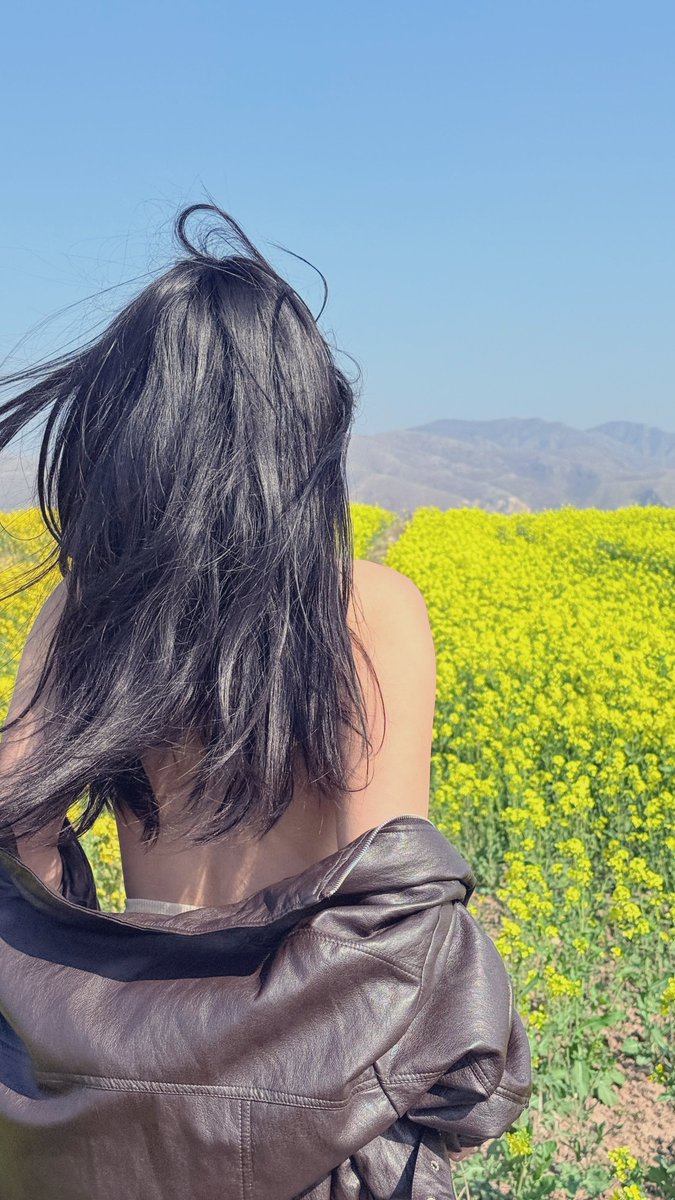 青鸟人妻 tweet media