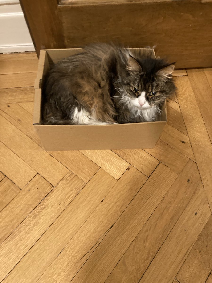 Mathias Altman-Kurosaki tweet media