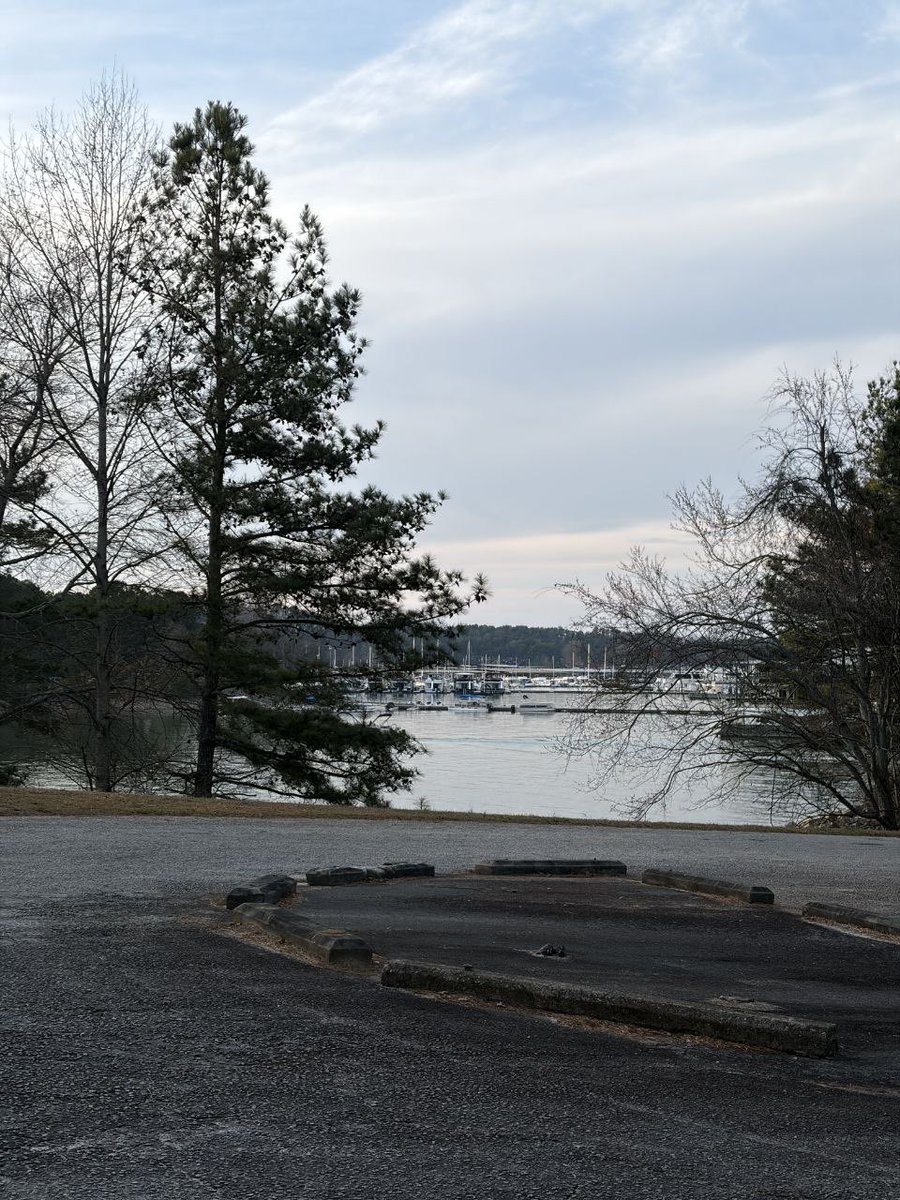 🌷🎀 ℒ𝒾𝓁𝒾𝒶𝓃ℯ 🎀🌷 tweet media