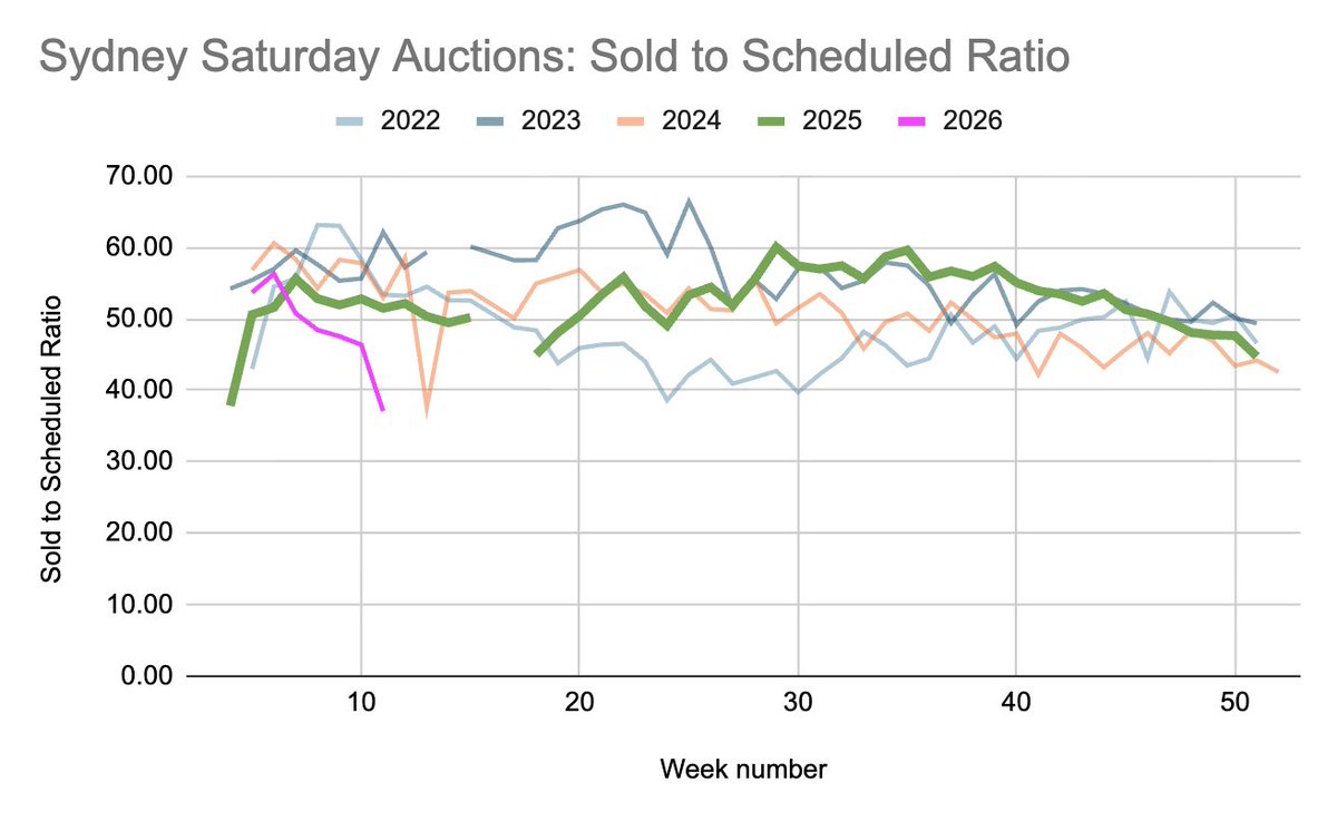 rabbittail tweet media