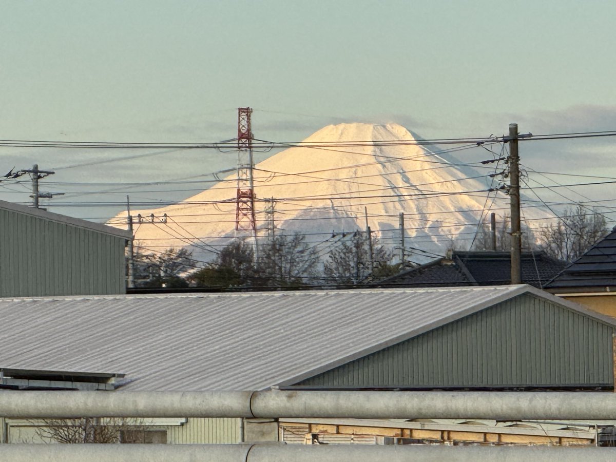 SHADOW'sえんちゃん tweet media