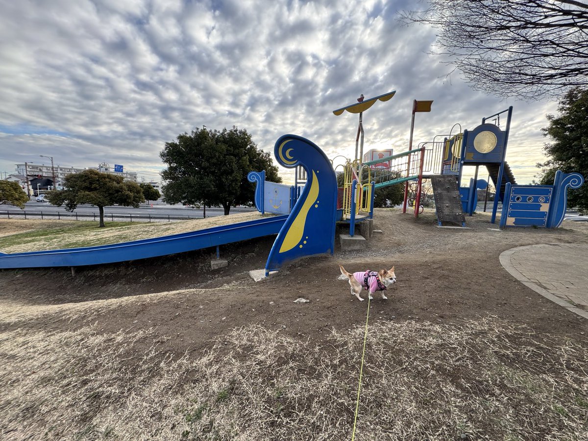 SHADOW'sえんちゃん tweet media