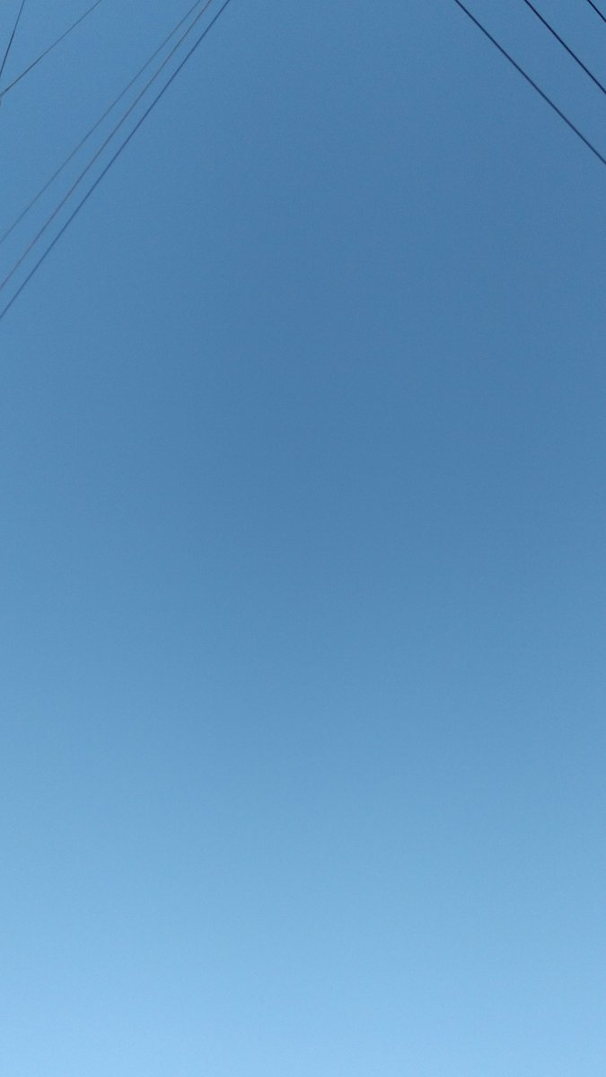 海♬月 tweet media
