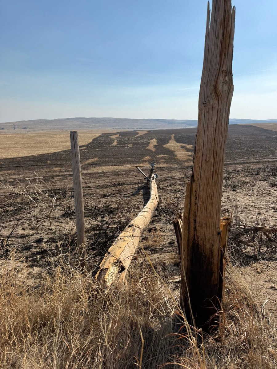 dirofchaos's tweet photo. This power pole snapped Thursday 3/12/26, because of wind gusts over 70 mph. This sparked the biggest wildfire in Nebraska history, burning over 450,000 acres in 24 hours. The pole is beside road 111 in Morrill County. #MorrillFire #Nebraska https://t.co/vZkzTNBHH0