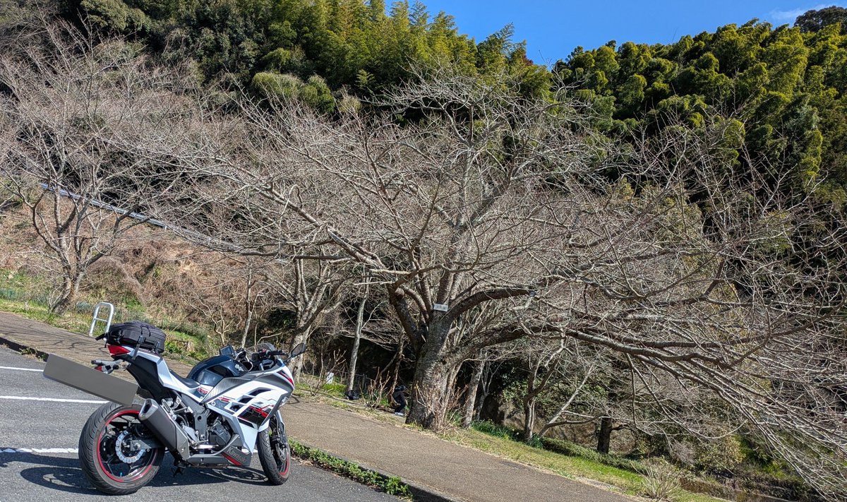 言乃葉まにょん tweet media