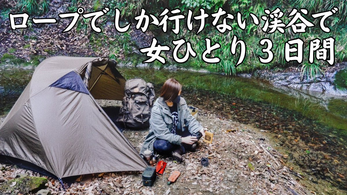 おとな民市長 tweet media