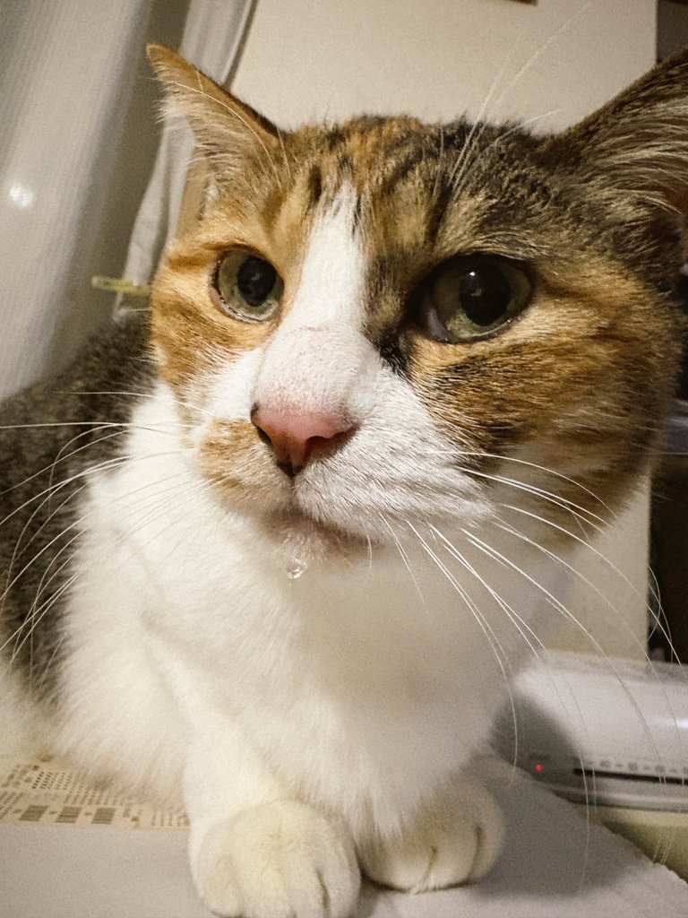 父ちゃん、毎年ギリギリでごめんね🙏動揺させてしまうね。だから身体によくないんだね…ごめんね
家族のためにいつもありがとう‼️