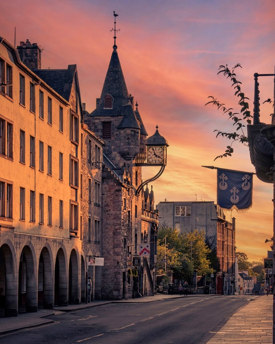 DavyTolmie tweet media