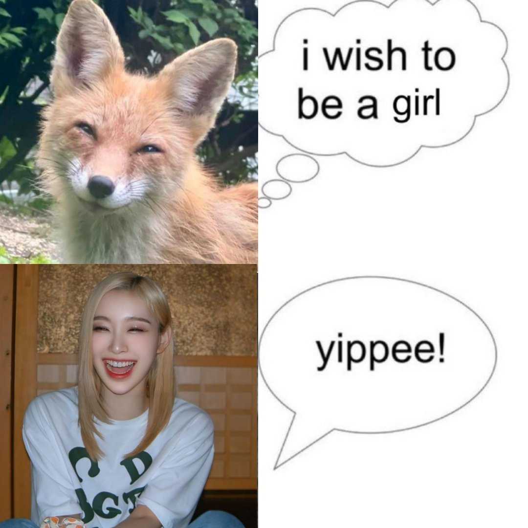 mel 🐢🍷🏁🪞⚔️🦋 tweet media