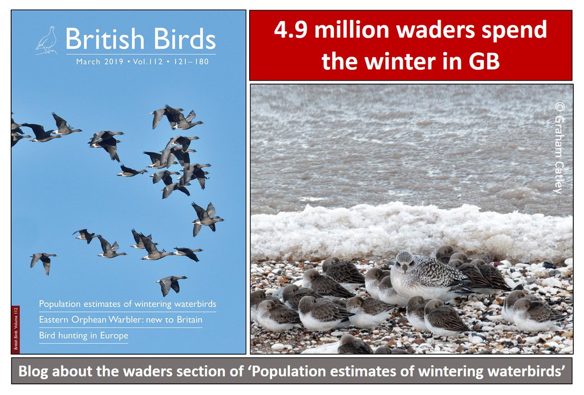 Graham Appleton tweet media