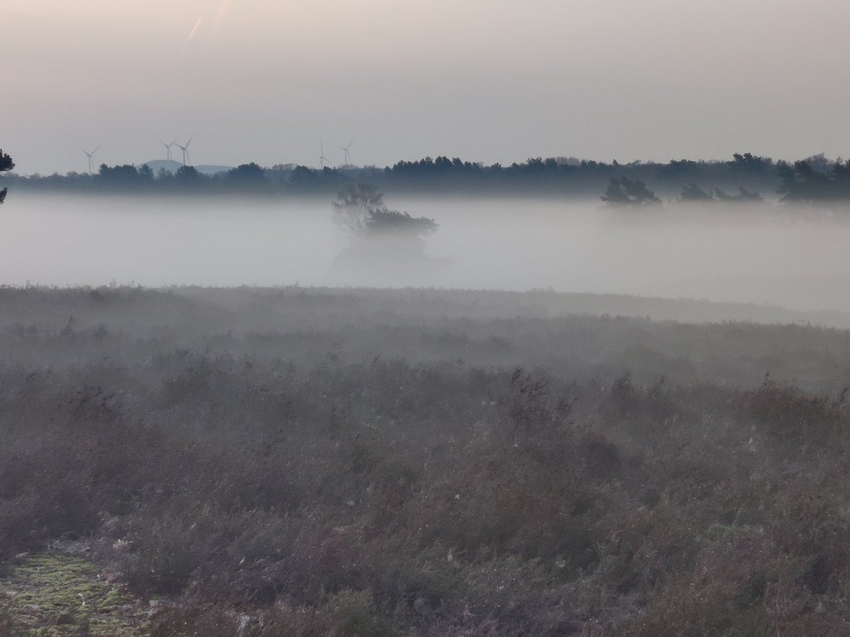 Patrick Switten tweet media