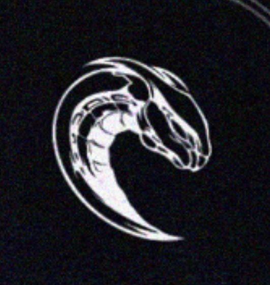tigrosaurus's tweet photo. Just opened sns, and I saw 85RACING everywhere.

85RACING!!!
Not EvisuRacing, not UnoRacing, but 85Racing!!! An independent racing IP! 😭���😭

Sponsored by: 
- TCP Group Red Bull as its Chief Energy Officer;
- UNDEFEATED as its Official Fashion/Trend Officer:
- Helly Hansen as its Co-Creation Officer;

With the slogan:
Powered by energy, spearheaded by trends, and driven by exploration

And the updated snake logo 😍😍😍

I can't wait for the future development. Will he build his own independent team? Will he continue to cooperate with UnoRacing? What car will he use? Which race will he join? I am super excited!!! 

#WangYibo