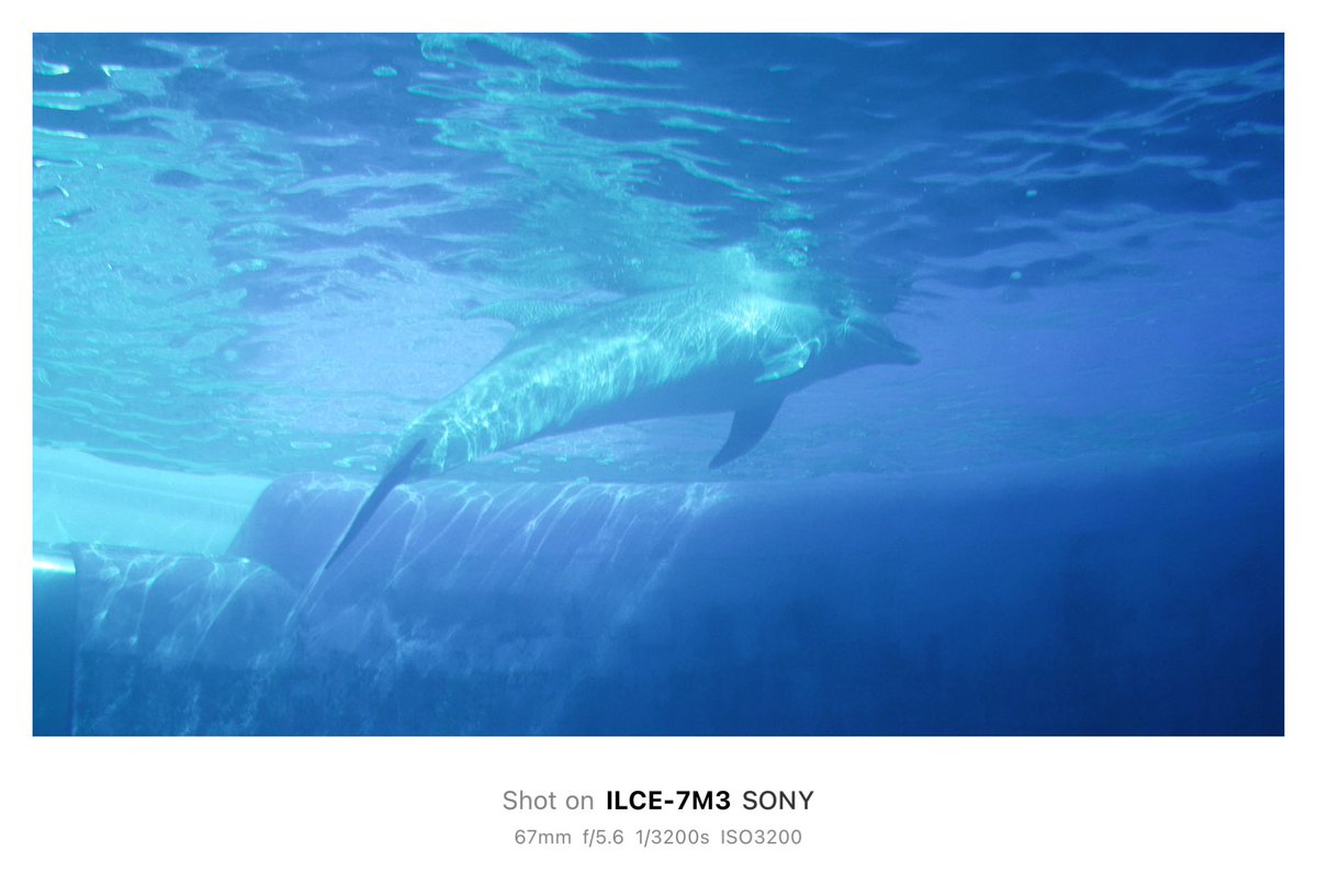 𝙆𝙄𝙍𝙄 (@suzyiesi2) on Twitter photo 