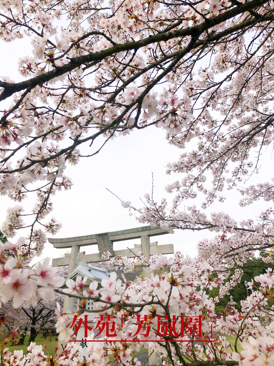 wakejinja's tweet photo. 🌸「桜まつり（神社マルシェ）」開催🌸

🌸4月4日～5日　10時～15時
神社外苑「芳嵐園」の桜の開花に合わせて「桜まつり」を開催します
「芳嵐園」の約200本のソメイヨシノが4月の上旬に満開をむかえます
桜の咲く境内でお花見を楽しみませんか！

#和気神社 #桜 #マルシェ #キッチンカー #御朱印 https://t.co/FHPjutgMsw