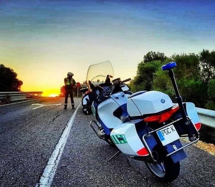 1905Civil's tweet photo. Muy buenos días amigas y amigos, •¡Hoy es el día perfecto para empezar algo grande!
Cada mañana es una nueva oportunidad para cambiar tu vida. Que tengáis un feliz sábado. Y que dios los bendiga.”🇪🇸💚🇪🇸💚🇪🇸 https://t.co/oSGZRoU4po