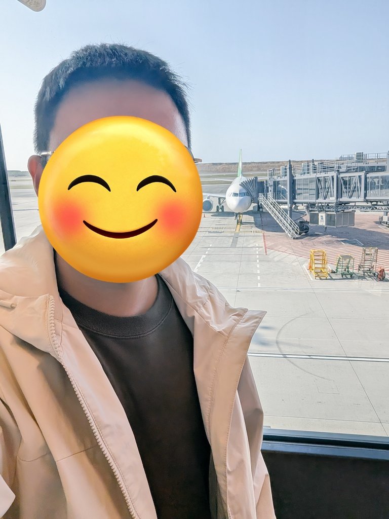 台南小隻馬 tweet media