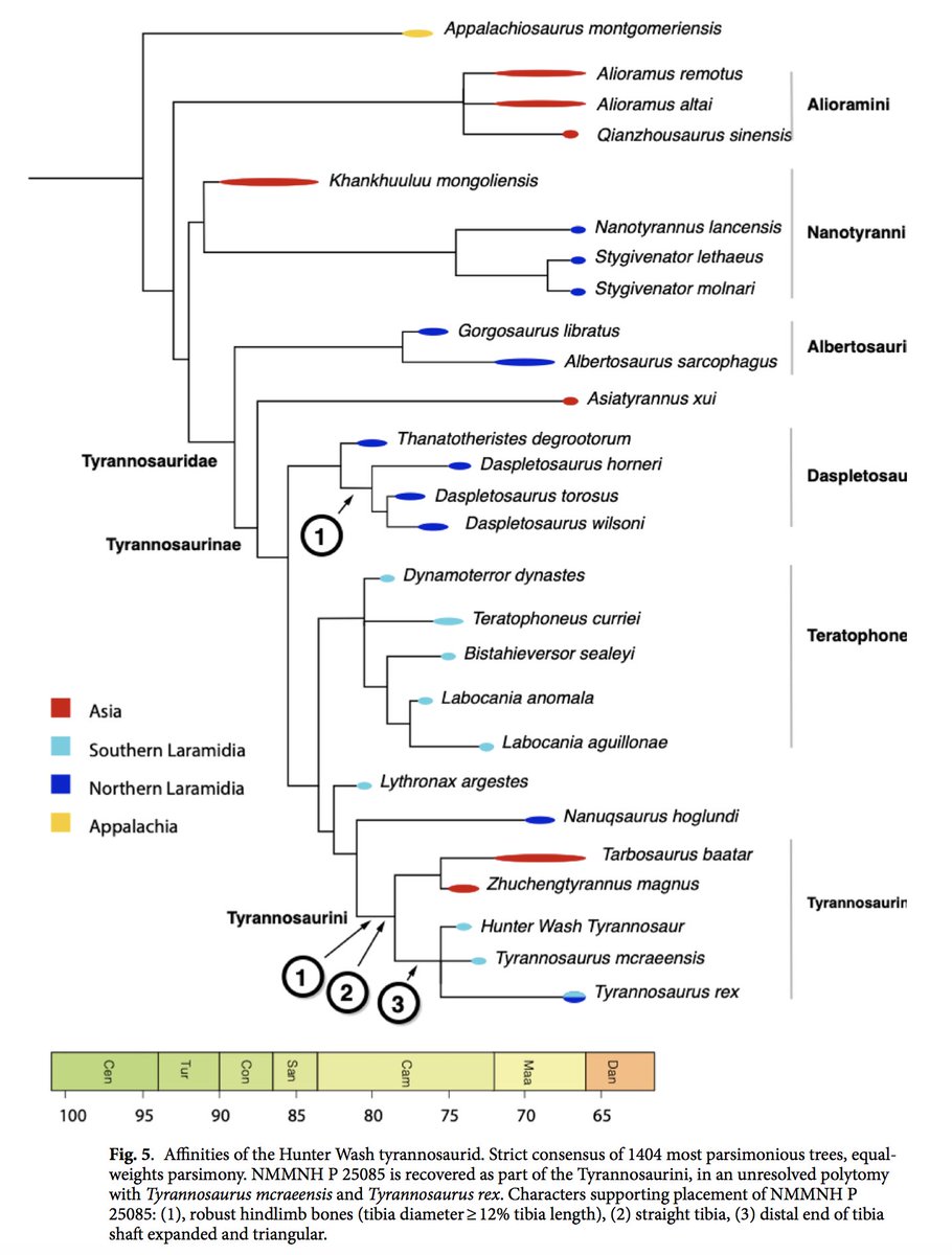 theropod tweet media