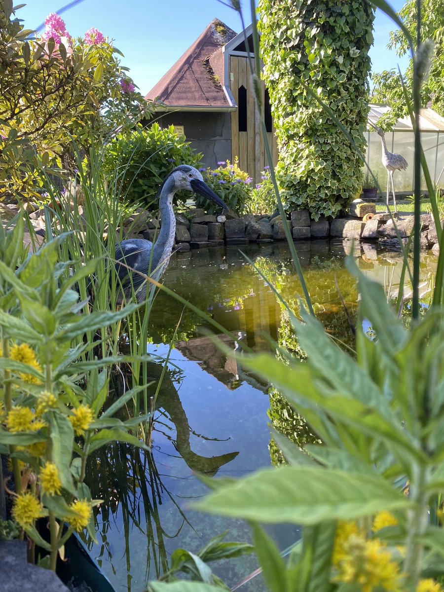 Andreas Carduck tweet media