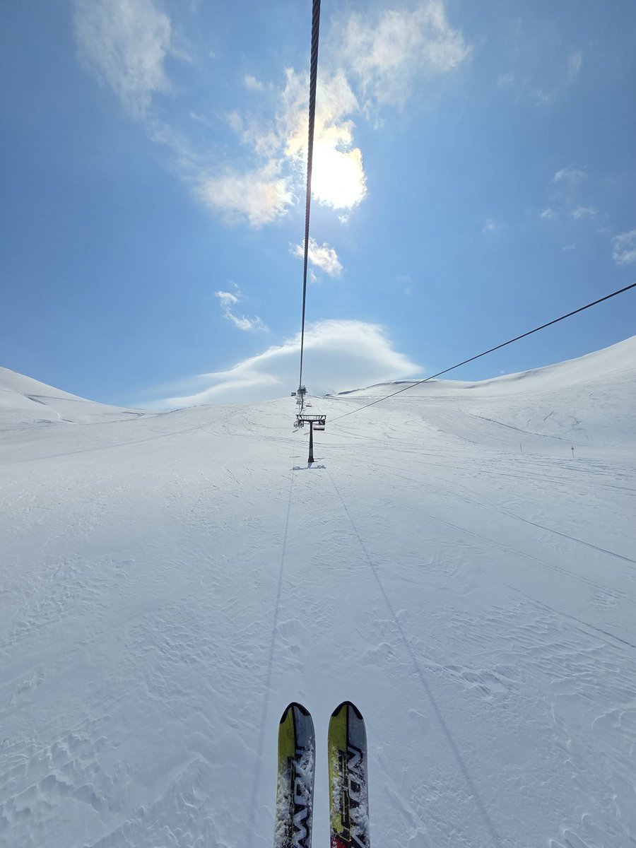 Čalaviek z bulvara Šachcioraŭ tweet media