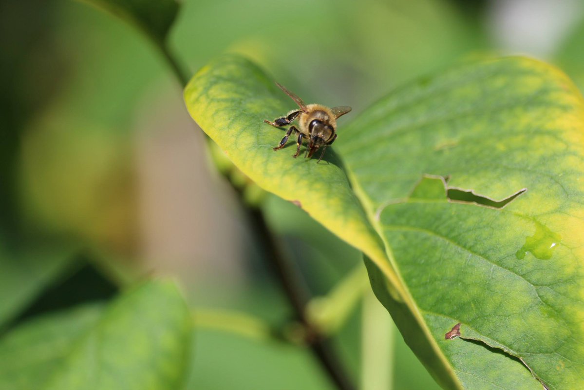 Andreas Carduck tweet media