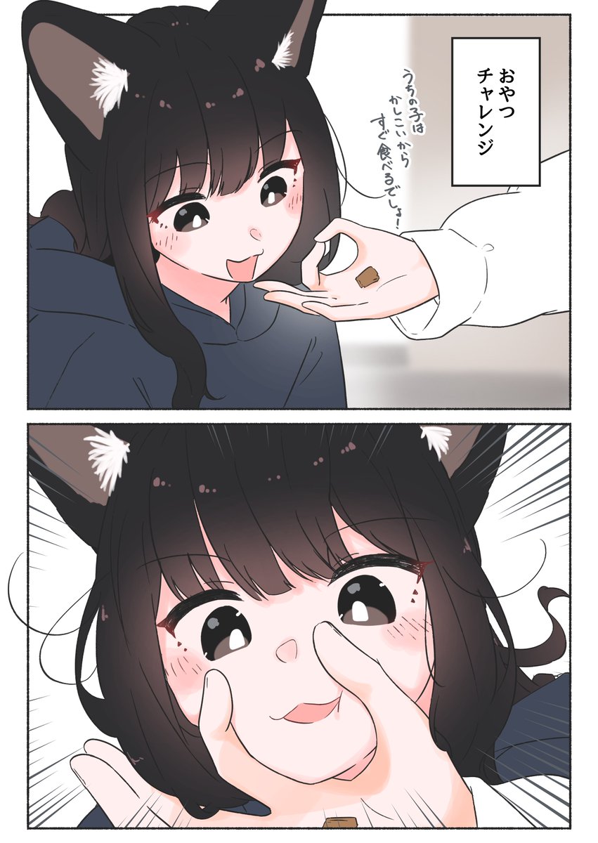 おやつチャレンジ(1/2) [再掲] 